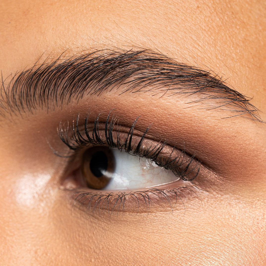 The Ultimate Proshadow Palette
